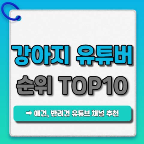 강아지-유튜버-순위-TOP10