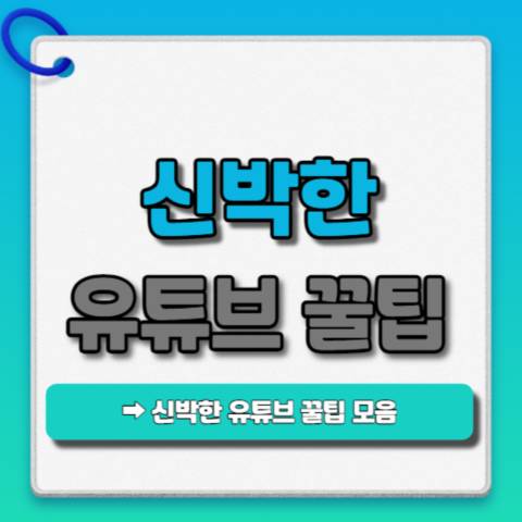 신박한-유튜브-꿀팀-모음